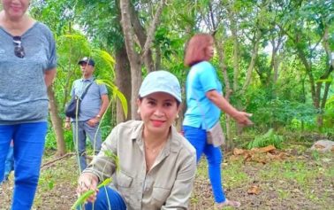 One for trees project launched by Meralco